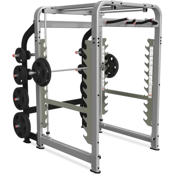 Nautilus Plate Loaded Freedom Rack